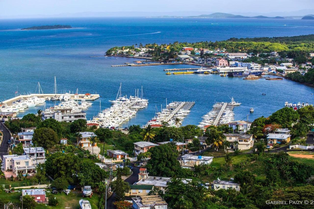 Waterfront Studio At Fajardo, Puerto Rico Dış mekan fotoğraf