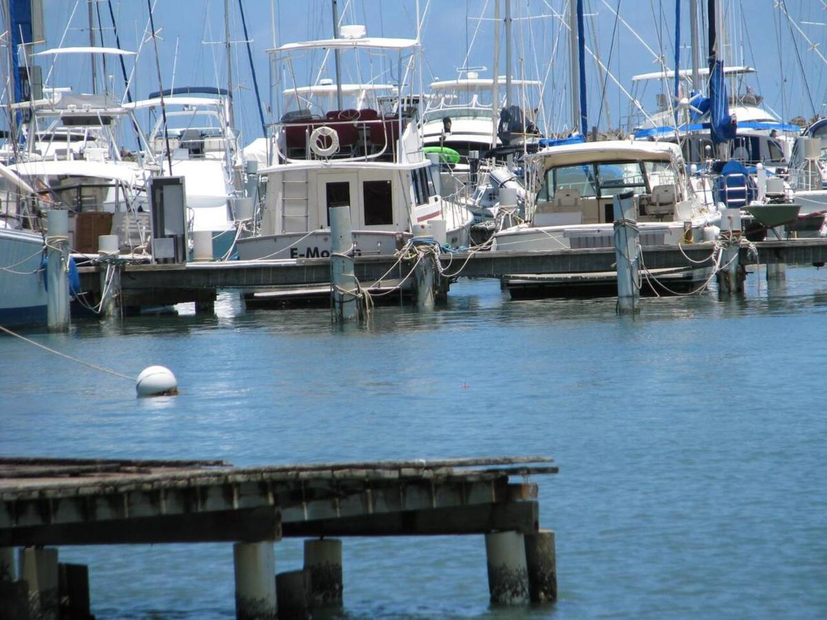 Waterfront Studio At Fajardo, Puerto Rico Dış mekan fotoğraf