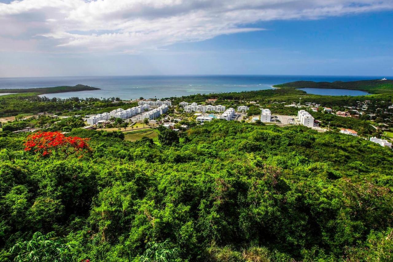 Waterfront Studio At Fajardo, Puerto Rico Dış mekan fotoğraf